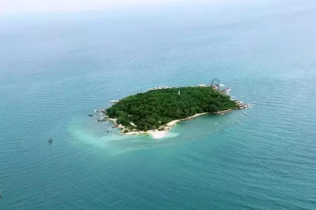逃离潮湿的房屋